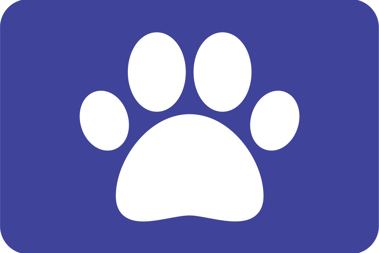 SERVICIOS _ Perros-02